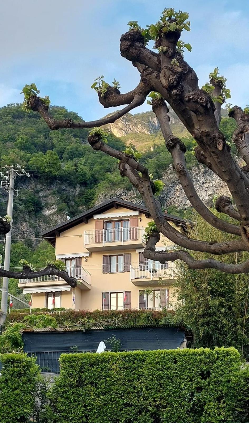Alojamento de Acomodação e Pequeno-almoço B&b-foresteria Casa Della Musica